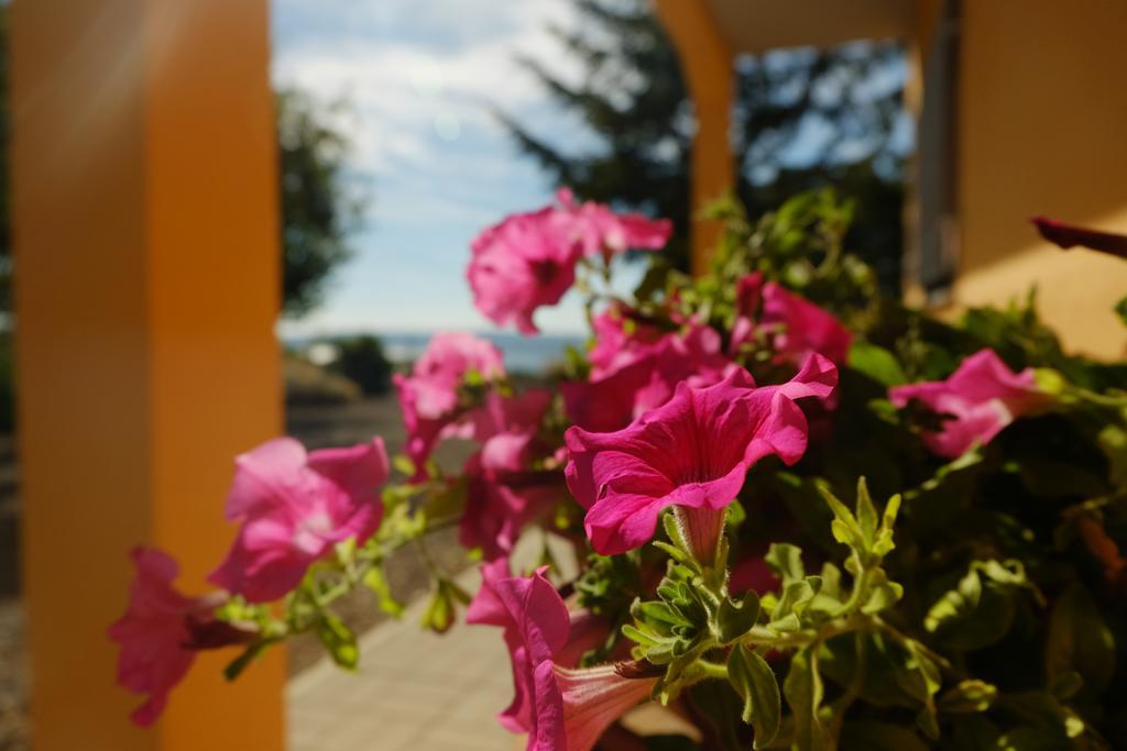 B&B Podere Ospedaletto Bolsena Esterno foto